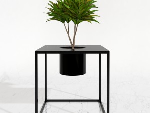 room plants 05 3D Model