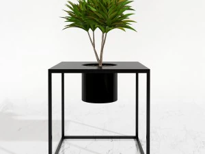 room plants 05 3D Model