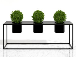 room plants 05 3D Model