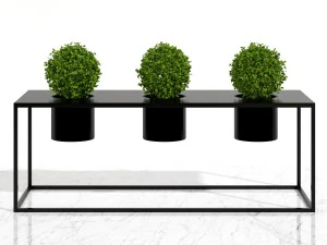 room plants 05 3D Model