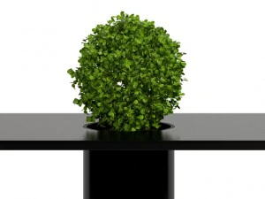 room plants 05 3D Model