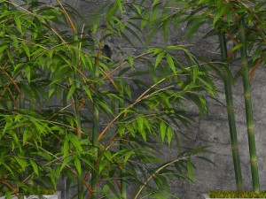 room plants bamboo 3D Modell
