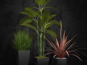 room plants 06 3D Model