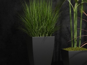 room plants 06 3D Model