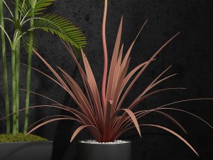 room plants 06 3D Model