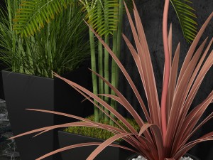 room plants 06 3D Model