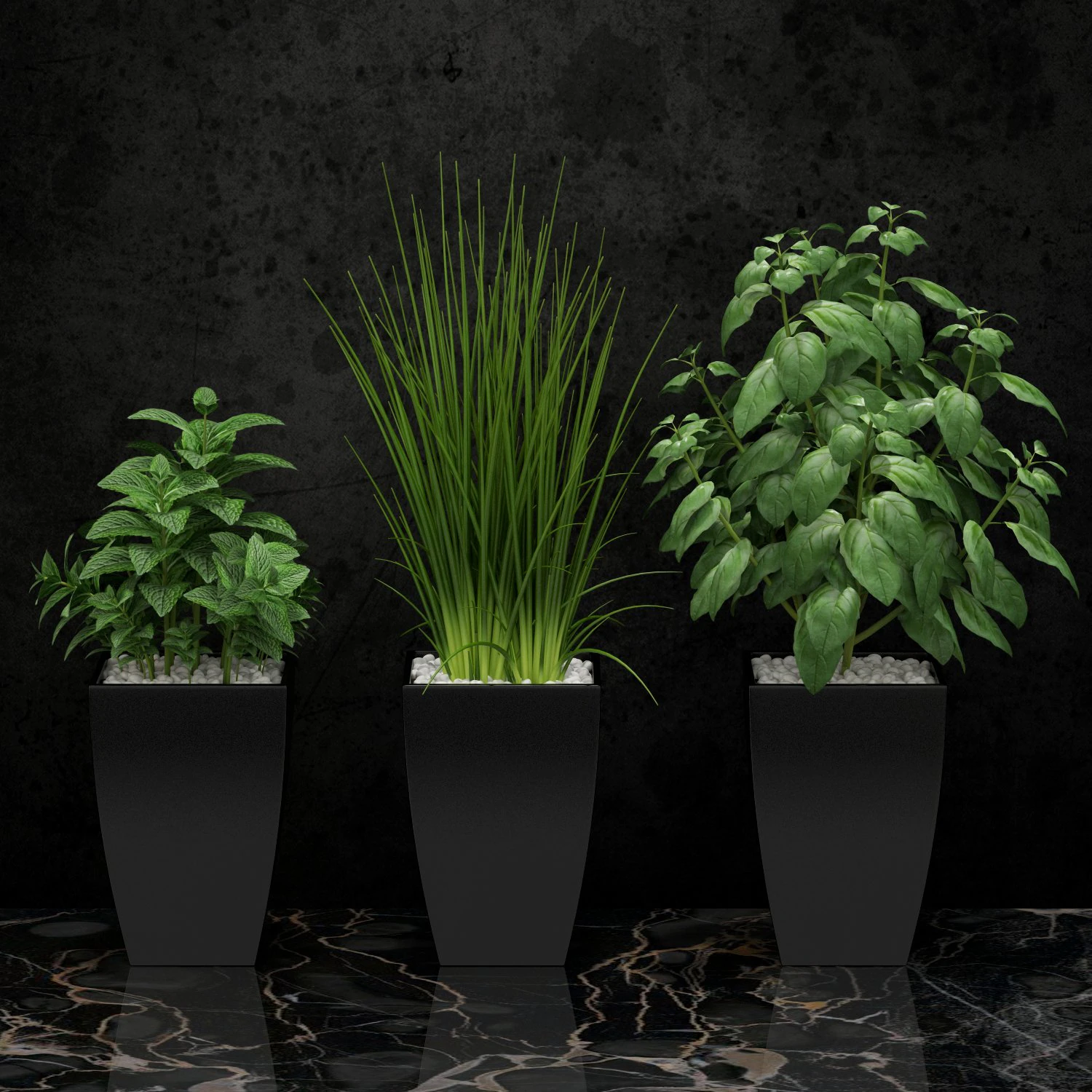 room plant 08 3D Model .c4d .max .obj .3ds .fbx .stl .blend