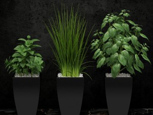 room plant 08 3Dモデル