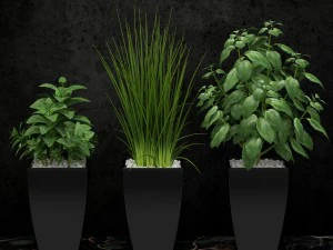 planta de sala 08 Modelo 3D