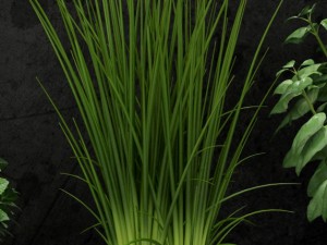 room plant 08 3D Model
