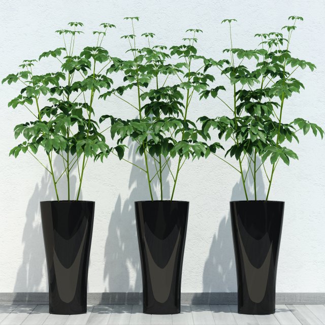 room plant 10 3D Модель .c4d .max .obj .3ds .fbx .stl .blend 