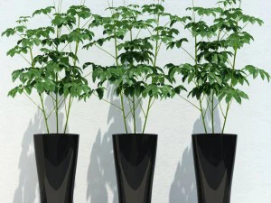 ルームプラント10 3Dモデル