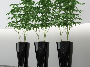 room plant 10 3D Модель