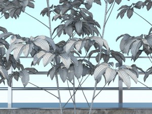 room plant 10 3D Модель