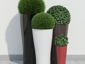 plants 11 3D Model