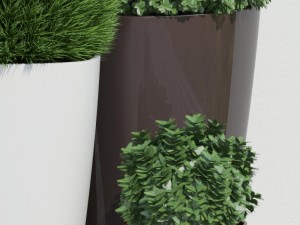 plants 11 3Dモデル