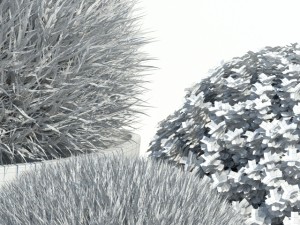 plants 11 3Dモデル