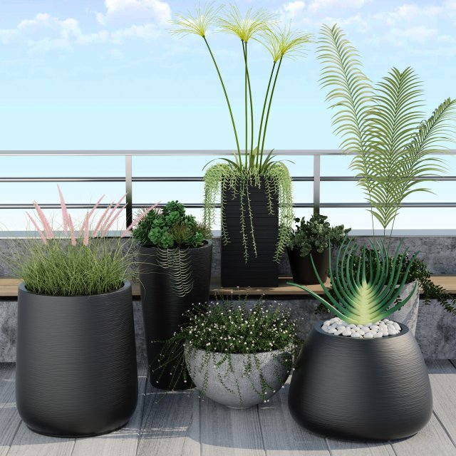 plants 12 3D 模型 .c4d .max .obj .3ds .fbx .stl .blend 