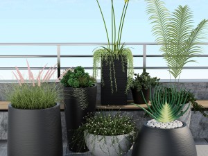 plants 12 3D Model