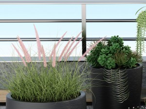 plants 12 3D 模型