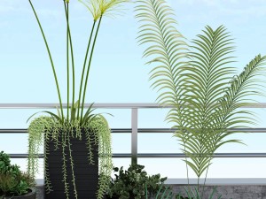 plants 12 3D 模型