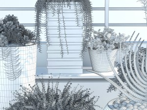 plants 12 3D 模型