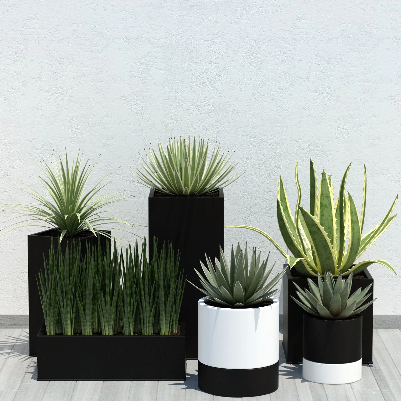 plant 14 aloes 3D Model .c4d .max .obj .3ds .fbx .stl .blend 
