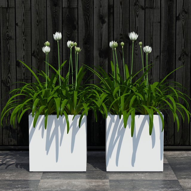 plant 15 3Dモデル .c4d .max .obj .3ds .fbx .stl .blend 