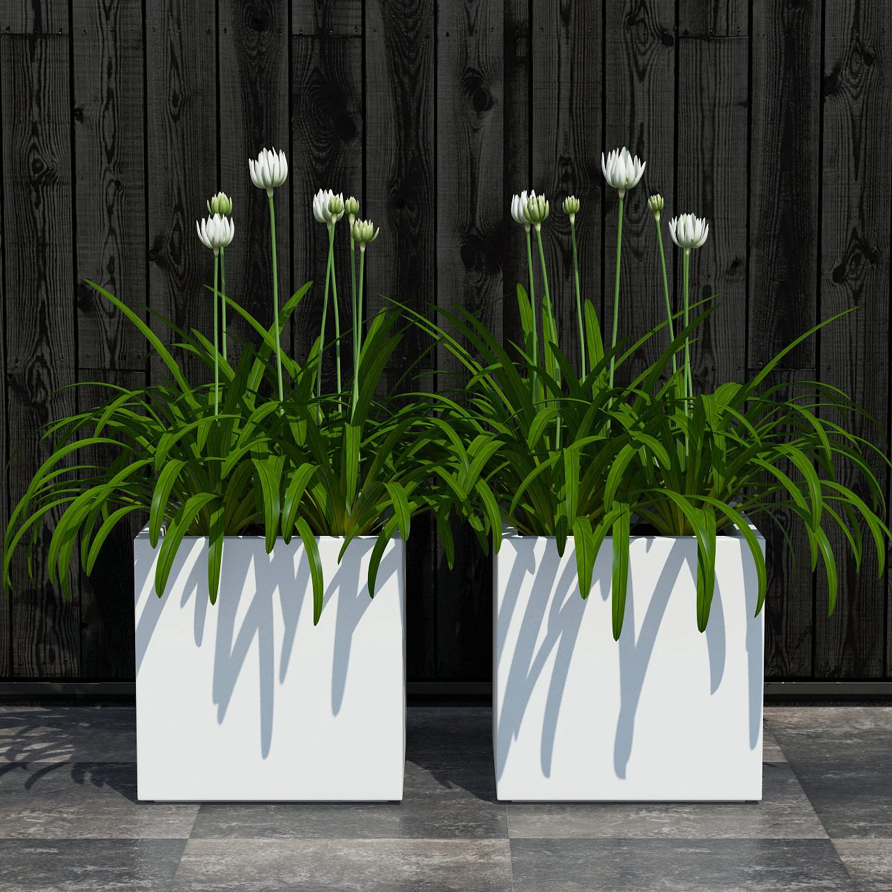 plant 15 3D Model .c4d .max .obj .3ds .fbx .stl .blend 