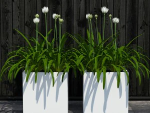 завод 15 3D Модель