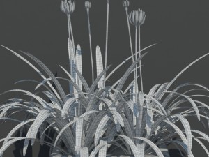 plant 15 3Dモデル