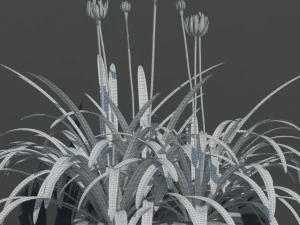 plant 15 3D Model