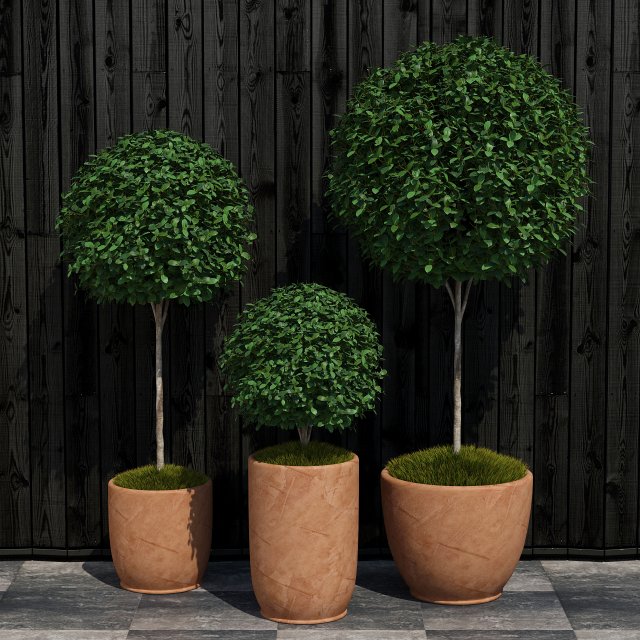 plant 16 3D Model .c4d .max .obj .3ds .fbx .stl .blend 