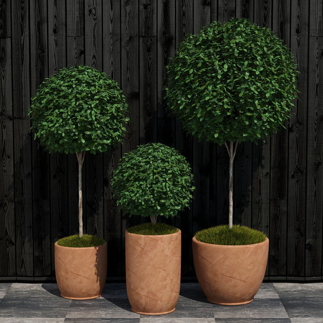 plant 16 3D Model .c4d .max .obj .3ds .fbx .stl .blend 