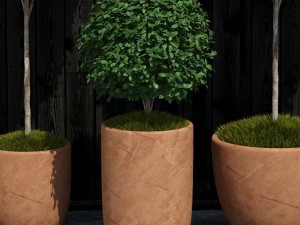 plant 16 3D Model