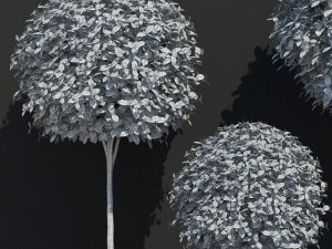 plant 16 3D Model
