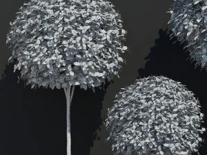 plant 16 3D Model