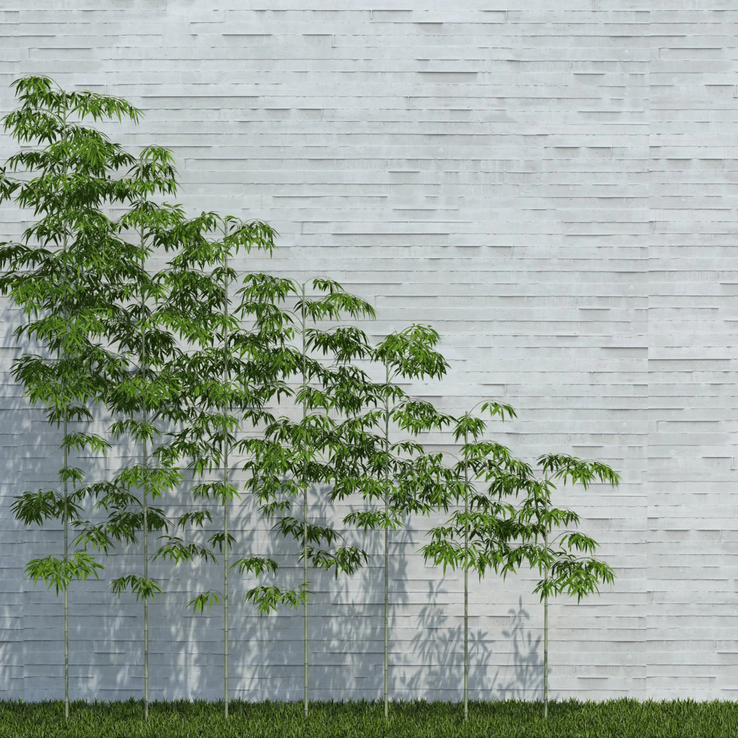 bamboo trees for scatter 3D Model .c4d .max .obj .3ds .fbx .stl .blend 