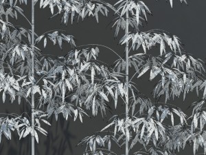 bamboo trees for scatter 3D Model