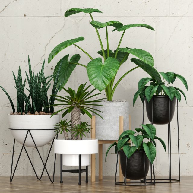 plant 27 3D Model .c4d .max .obj .3ds .fbx .stl .blend 