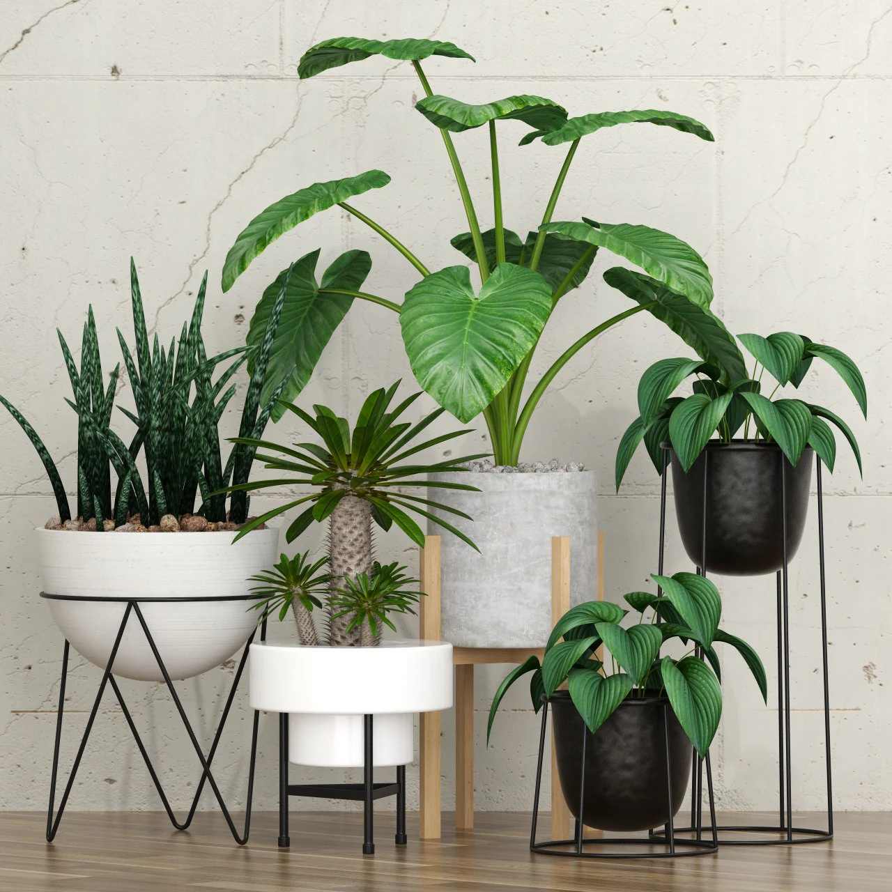 plant 27 3D Model .c4d .max .obj .3ds .fbx .stl .blend 