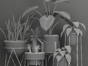 plant 27 3D Model