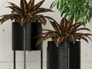 pant 28 3D Model