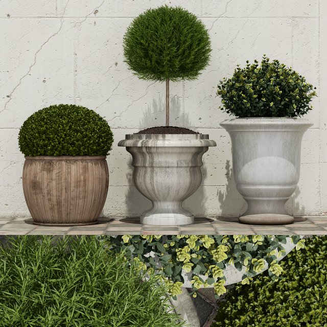 plant 29 Modelo 3D .c4d .max .obj .3ds .fbx .stl .blend 