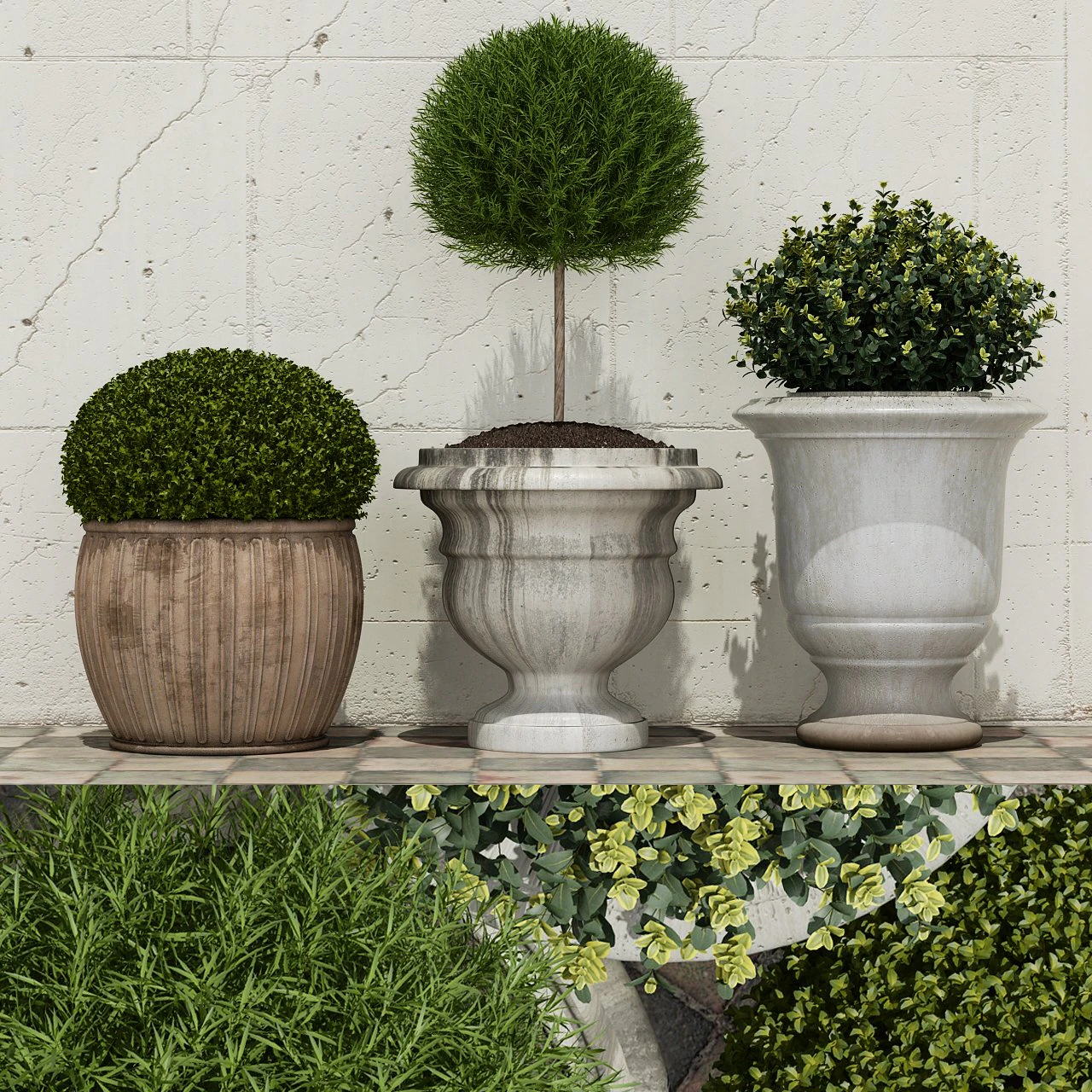 plant 29 3D Model .c4d .max .obj .3ds .fbx .stl .blend 