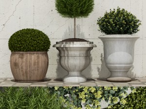 plant 29 3D Model