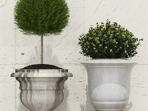 plant 29 Modelo 3D