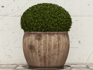 plant 29 Modelo 3D