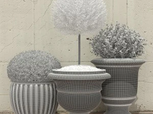 plant 29 3D Model