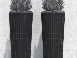 plant 20 3D Model